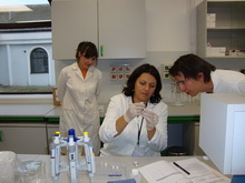 Obuka septembar 2013